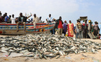 Pêche au Sénégal : Le bilan contrasté de la « rupture » après deux ans de gestion