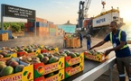 Exportation de mangues : Le plan de riposte du Sénégal contre la mouche des fruits
