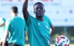 Turquie : le footballeur Alassane Ndao libéré après quatre mois d’emprisonnement