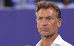Arabie saoudite : les dessous du départ surprise d’Hervé Renard