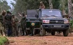 RDC: procès à Kisangani de 84 soldats des FARDC accusés de violation des consignes militaires