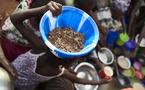 Au Cameroun, l'insécurité alimentaire s'aggrave et menace jusqu’à 2,9 millions de personnes