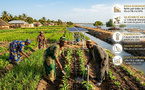 Vagues de chaleur et inondations: l’action climatique, dernier rempart pour préserver les acquis du développement du Sénégal