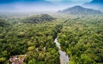 ​Projet PICVERT : Trois pays s'allient pour sauver un écosystème couvrant 30 000 km²
