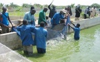 Objectif 2030 : L'ANA veut produire 20 000 tonnes de poisson et créer 26 000 emplois