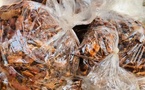 A Dakar, les vendeurs de produits naturels du marché Castors étouffés par les taxes et la pénurie (REPORTAGE)