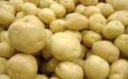 Gel des importations de la pomme de terre : la mesure levée lundi prochain