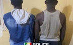 Kolda : deux présumés membres de gangs arrêtés par la Sûreté urbaine  