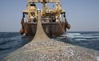 L’arrêté officiel portant dégel partiel des licences de pêche démersale côtière