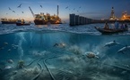 Alerte environnementale des scientifiques : le projet gazier GTA sur le banc des accusés