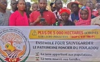Vélingara : le Comité de veille foncière du Fouladou s'oppose à l'attribution de terres à un projet agro-industriel