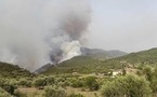 Algérie: les autorités interdisent l'accès aux forêts pour éviter les incendies cet été