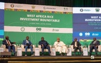 ​Afrique de l’Ouest : la CEDEAO mobilise ses partenaires pour atteindre l’autosuffisance en riz d’ici 2035