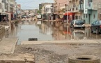 Adaptation au changement climatique  : le Sénégal et la Guinée Bissau décrochent un appui  de 12 milliards CFA du FEM