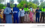 Plantations et cultures vivrières: l'ADC Ninnaba accélère la marche vers la souveraineté alimentaire en Casamance