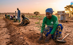 Journée mondiale de lutte contre la désertification : le Sénégal face au défi de la restauration