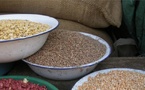 177 093 personnes secourues, 1 550 tonnes de riz reconstituées : le Commissariat à la sécurité alimentaire dévoile son bilan 2025