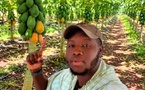 Retour vers la terre : entre passion et patriotisme, la jeunesse sénégalaise se tourne vers l’agriculture