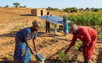  Microfinance agricole au Sénégal : Kampani injecte plus de 655 millions FCFA pour dynamiser le secteur