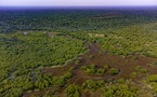 ​  Biodiversité : Un nouveau souffle de 765 millions CFA pour la préservation du parc national de Niokolo-Koba