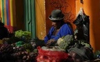 La Bolivie abandonne son ancrage au dollar pour lutter contre la pénurie de devises