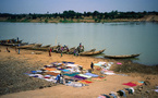 Environnement : dix communes du Sénégal et du Mali s'unissent pour sauver le fleuve Falémé