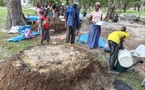 Kolda : une soixantaine de producteurs formés aux techniques durables de fertilisation des sols