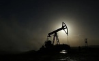 Les États-Unis annulent la licence autorisant temporairement la vente de pétrole iranien