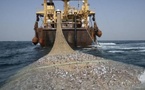 Accord de pêche UE-Mauritanie : la Lettonie tire la sonnette d'alarme sur l'avenir de la flotte européenne