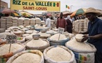 Filière riz local : les acteurs rejettent les chiffres du ministère et interpellent le Premier ministre