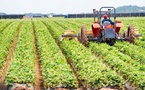 ​Intrants agricoles : L’Arcop serre la vis et exige un audit sur les dérogations du ministère de l’Agriculture