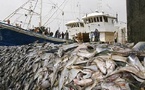 Pêche illégale : la CAOPA salue les progrès du Sénégal