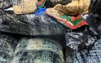 Lutte contre la drogue : Plus de 300 kg de chanvre indien saisis à Thiaroye