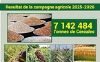 Sénégal : la production céréalière dépasse 2,4 millions de tonnes en 2025/2026