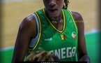 AfroBasket U18 féminin : le Sénégal débute par une lourde défaite face au Cameroun (61-30)