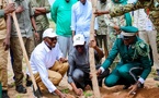 Journée nationale de l’arbre : Al Aminou Lô appelle à renforcer les efforts pour restaurer les terres