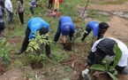 ​Kaffrine : la préfète appelle les jeunes à faire de la protection des arbres une « cause citoyenne »