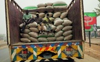 ​Commerce alimentaire en Afrique de l’Ouest : 85 % des flux invisibles, soit 10 milliards de dollars qui échappent aux statistiques