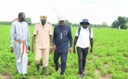 Campagne agricole 2026-2027 : Cheikhou Oumar Ba réaffirme la politique de proximité de l'État à Médina Yoro Foulah