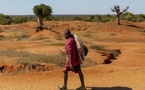 COP 17: «Restaurer l'espoir» dans la lutte contre la désertification