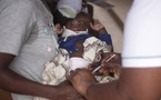 Journée mondiale du moustique: cinq ans après le premier vaccin, la lutte contre le paludisme avance en Afrique