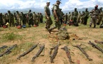 RDC-Rwanda: la délicate mise en œuvre du désarmement des FDLR