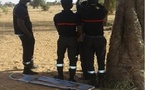 Ndangalma : un jeune homme de 24 ans retrouvé mort pendu à un arbre