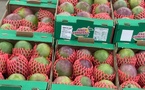 ​Mangue sénégalaise : 19 000 tonnes exportées vers l'Europe, contre 14 000 l'an dernier