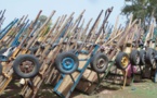​Kolda-Coupe abusive de bois : 1003 charrettes remplies de troncs d’arbres saisies en 6 mois