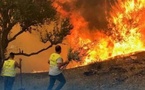Algérie : au moins 12 morts dans des incendies de forêts