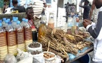 Commémoration de la Journée africaine de la Médecine traditionnelle, le 31 août : le paradoxe sénégalais ( Par Alioune AW)