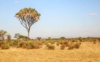 Lutte contre le changement climatique : Yoff mobilise 30 millions de FCFA pour soutenir des projets de jeunes