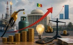 Subventions énergétiques :  l'état veut réduire la facture à moins de 1% du pib d'ici 2029