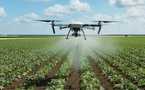 ​New Deal Technologique : l'impact agricole estimé à 290 milliards de FCFA et 83 000 emplois d'ici 2030